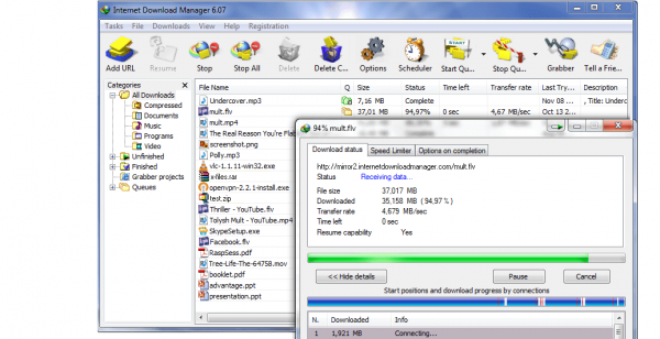 Internet Download Manager 6.37 crack